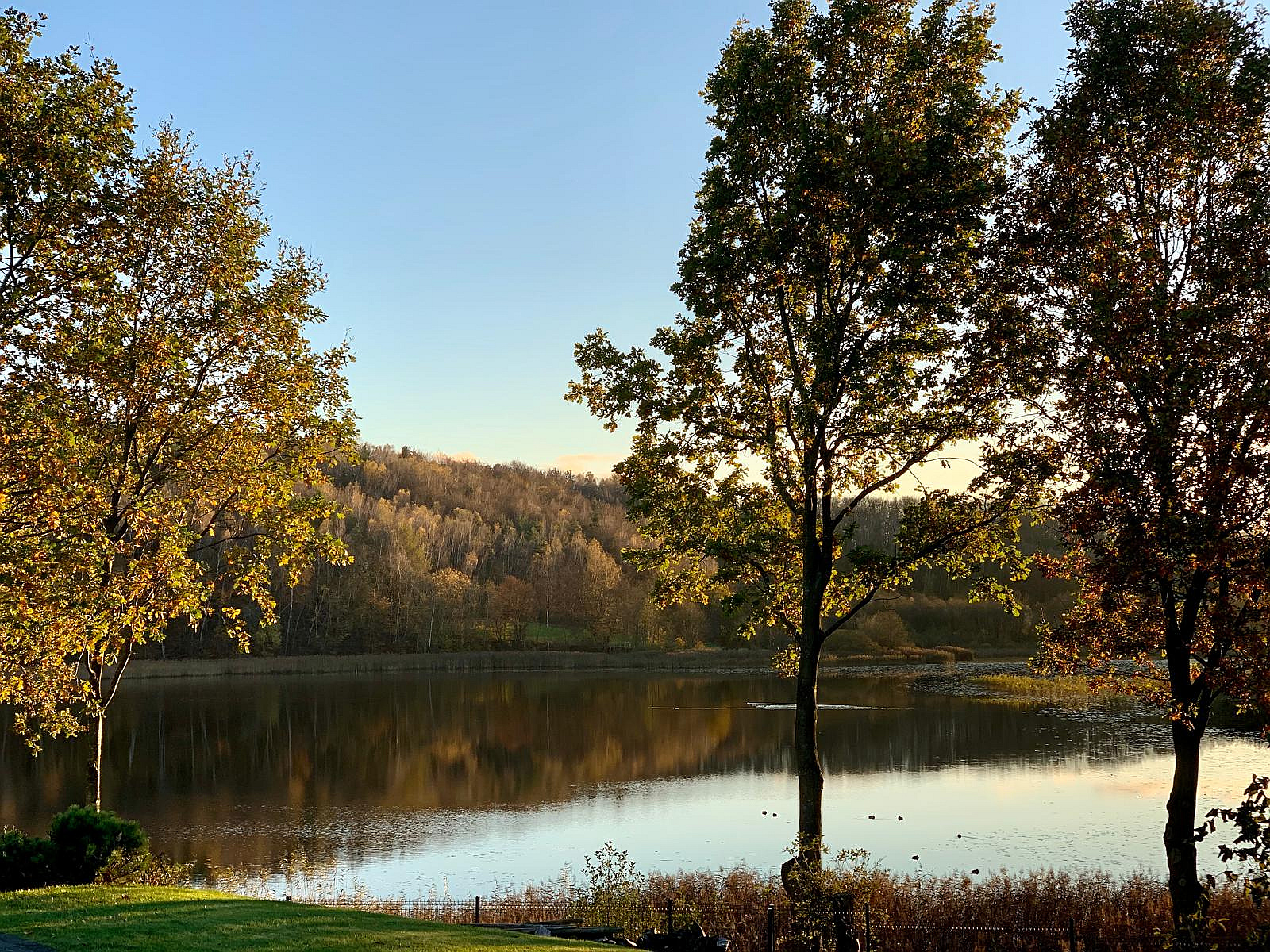 jezioro Orzechowo, Rębiska